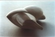 Sibylle Ryser (16 KB)
